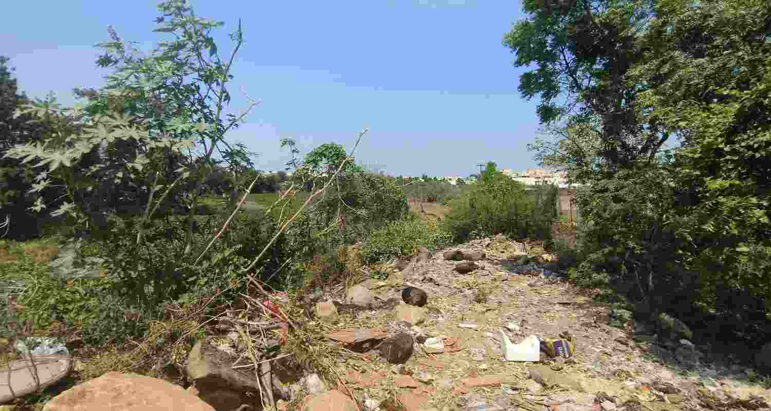 Aravalli Hills. Image: X. 