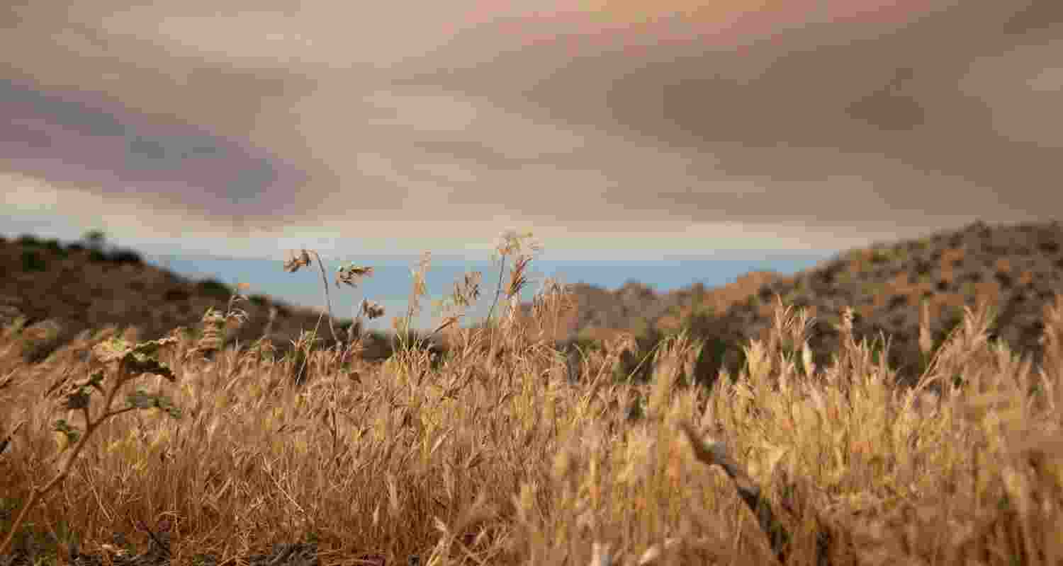 Five ways that climate change threatens human health
