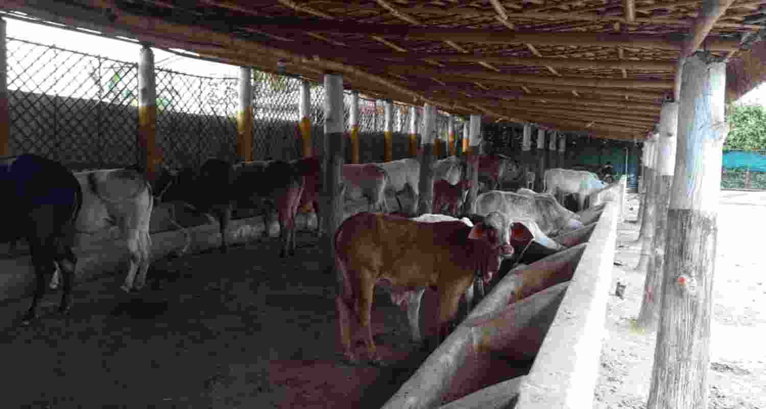 Representational image.