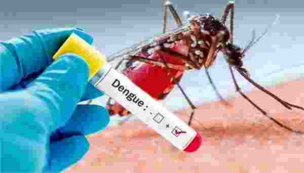 Delhi sees spike in dengue cases, two deaths reported by MCD Delhi sees spike in dengue cases, two deaths reported by MCD