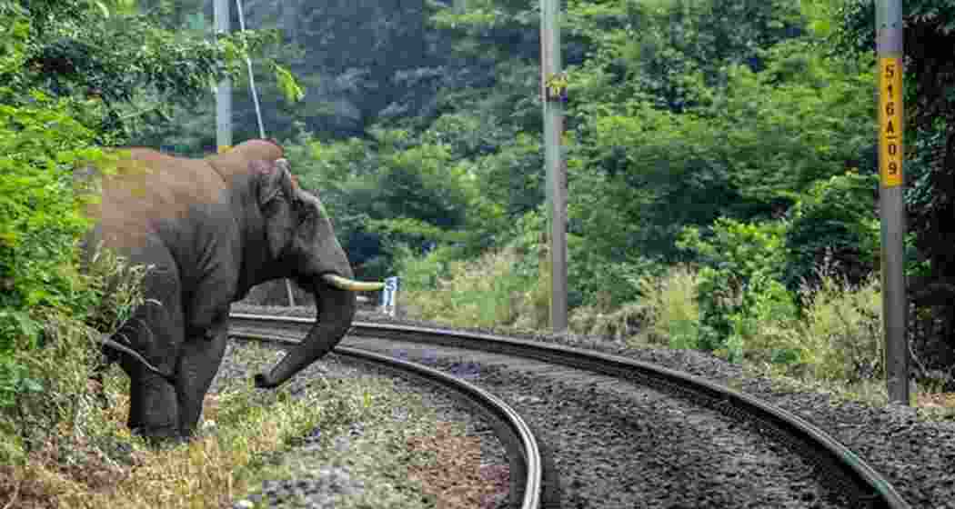 Representative image. (PTI)