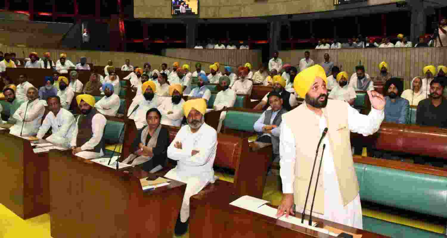 Punjab Chief Minister Bhagwant Mann his ministerial colleagues would carry out the exercise to extend compensation across the state.