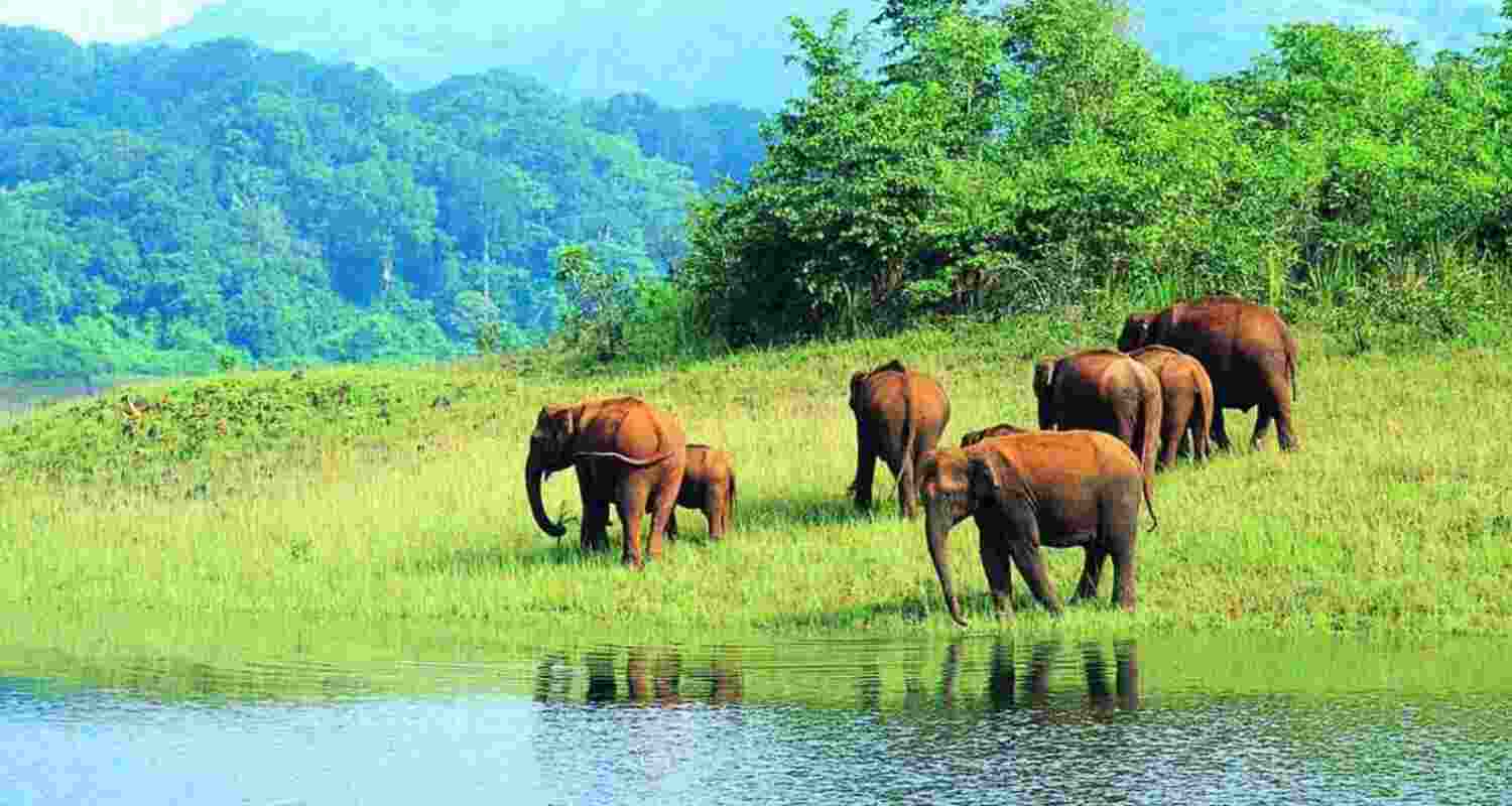 A bench comprising Chief Justice of India BR Gavai and Justice K Vinod Chandran was considering pleas on issues related to the notification of areas under Saranda Wildlife Sanctuary (SWL) and the Sasangdaburu Conservation Reserve (SCR) as a conservation reserve in Jharkhand