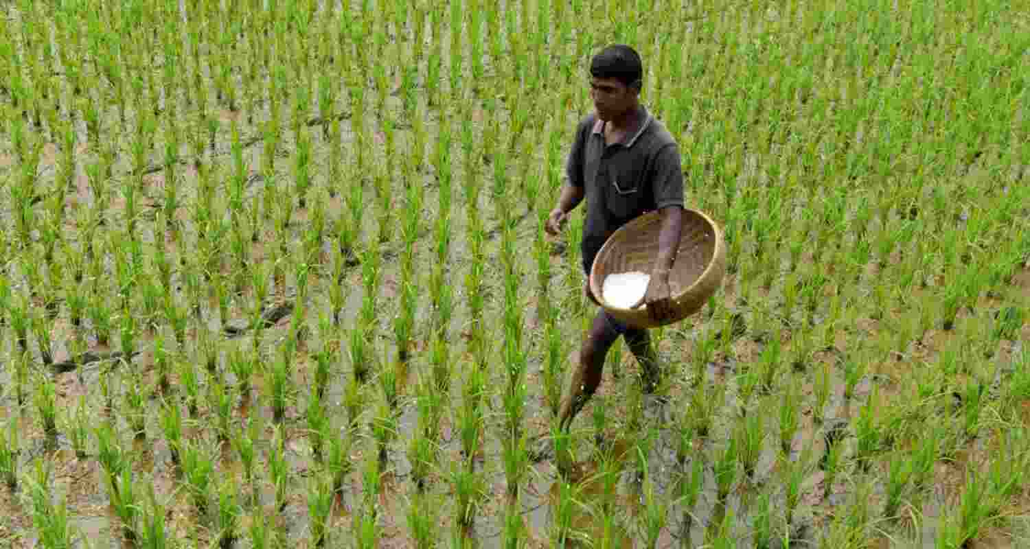 Consuming close to 70 million tonnes of fertiliser annually, India imported 14.45 million tonnes during April-October, up nearly 69 per cent from 8.56 million tonnes a year earlier, said FAI in its statement