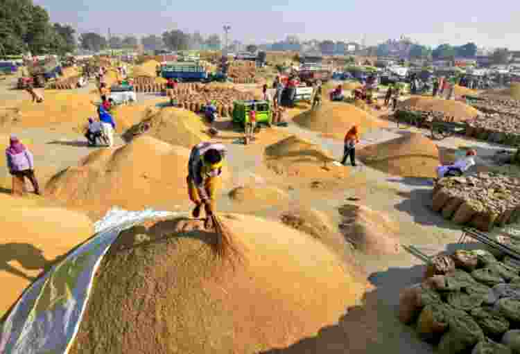 2025 to witness record foodgrain output with 4pc growth