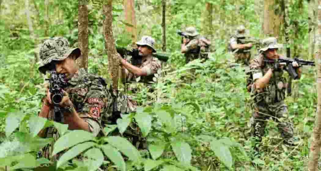 The operation involved the District Reserve Guard (DRG) from three districts, five CoBRA battalions, and the 229th CRPF battalion.