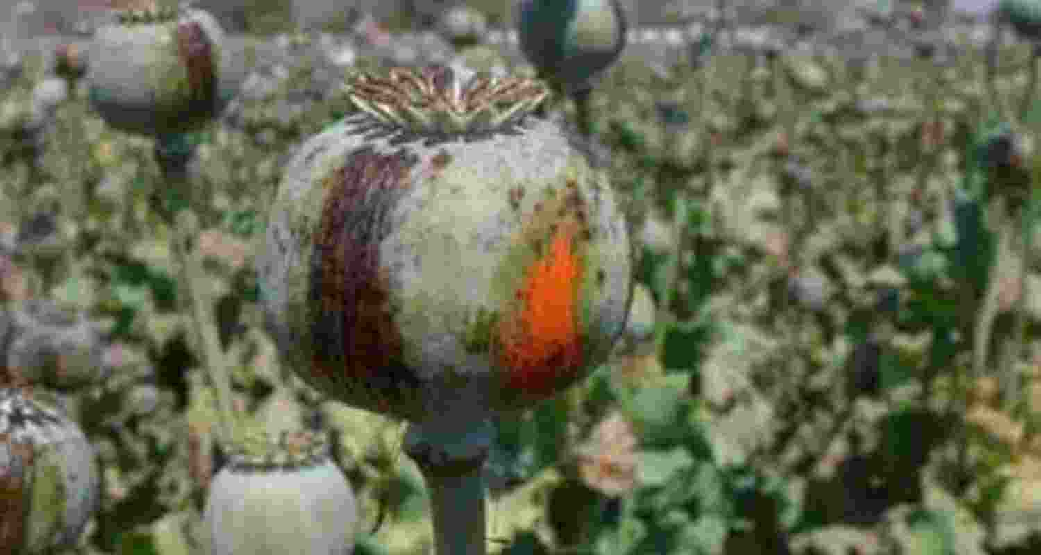 Representative Image. 