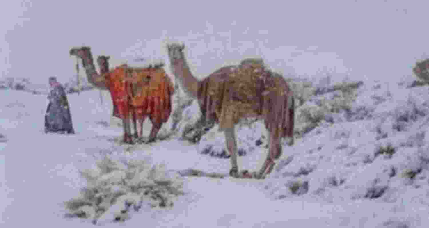 Snowfall blankets Saudi Arabia after 30 years