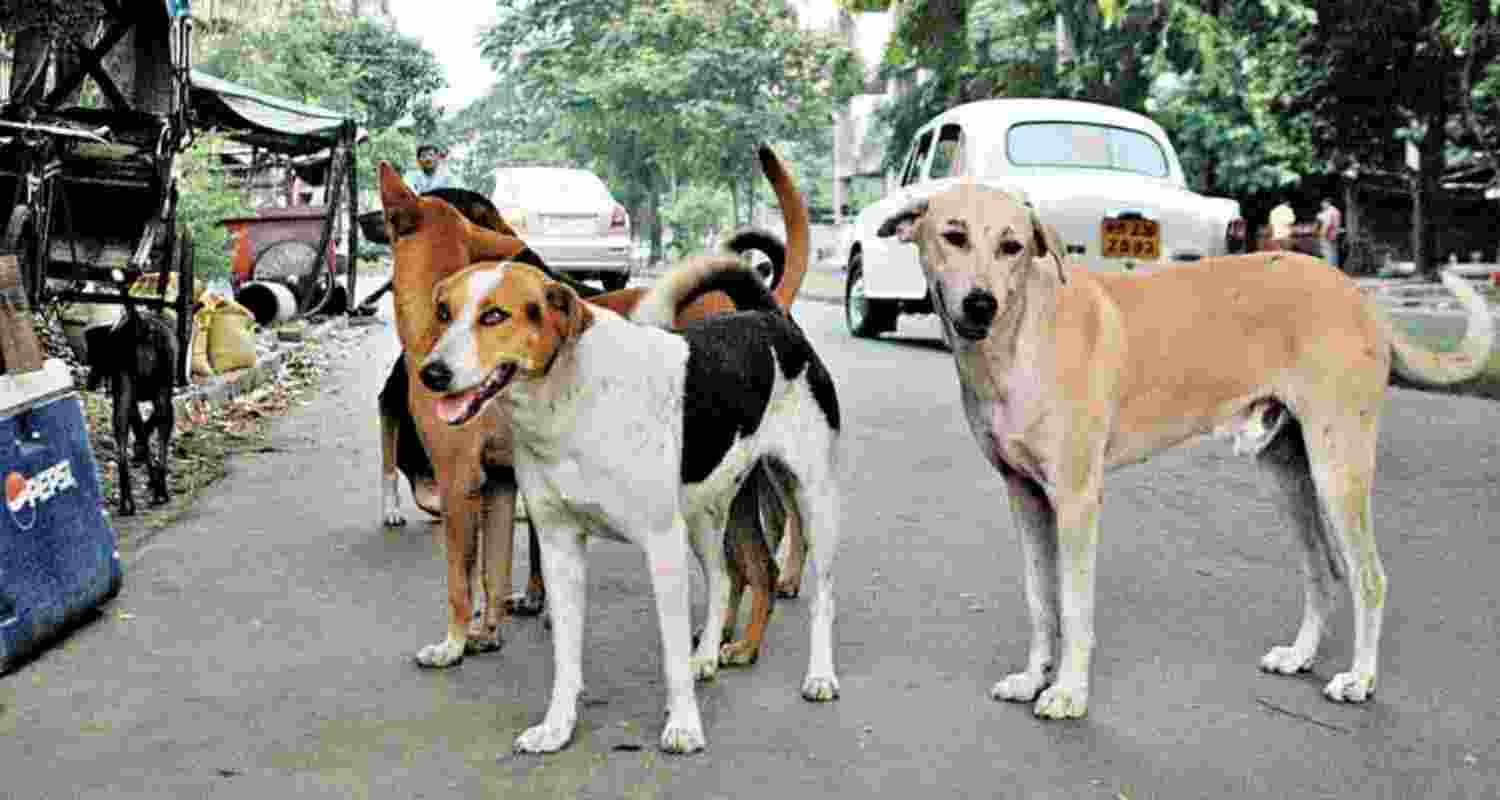 A representative image.