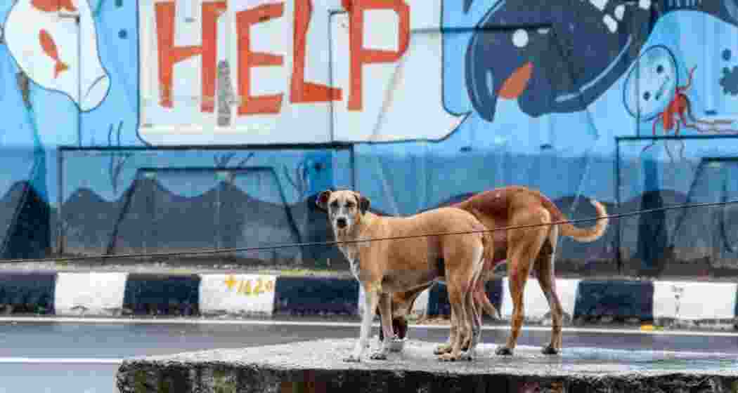 Representative image.