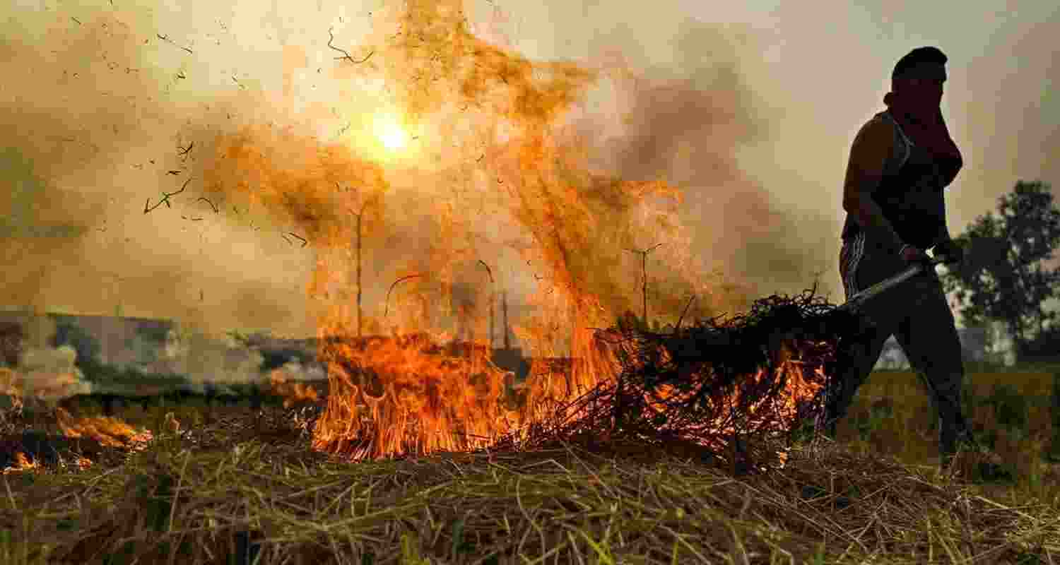 A representative image.