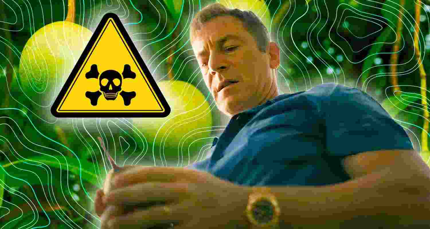 Yes that toxic White Lotus fruit can actually kill.