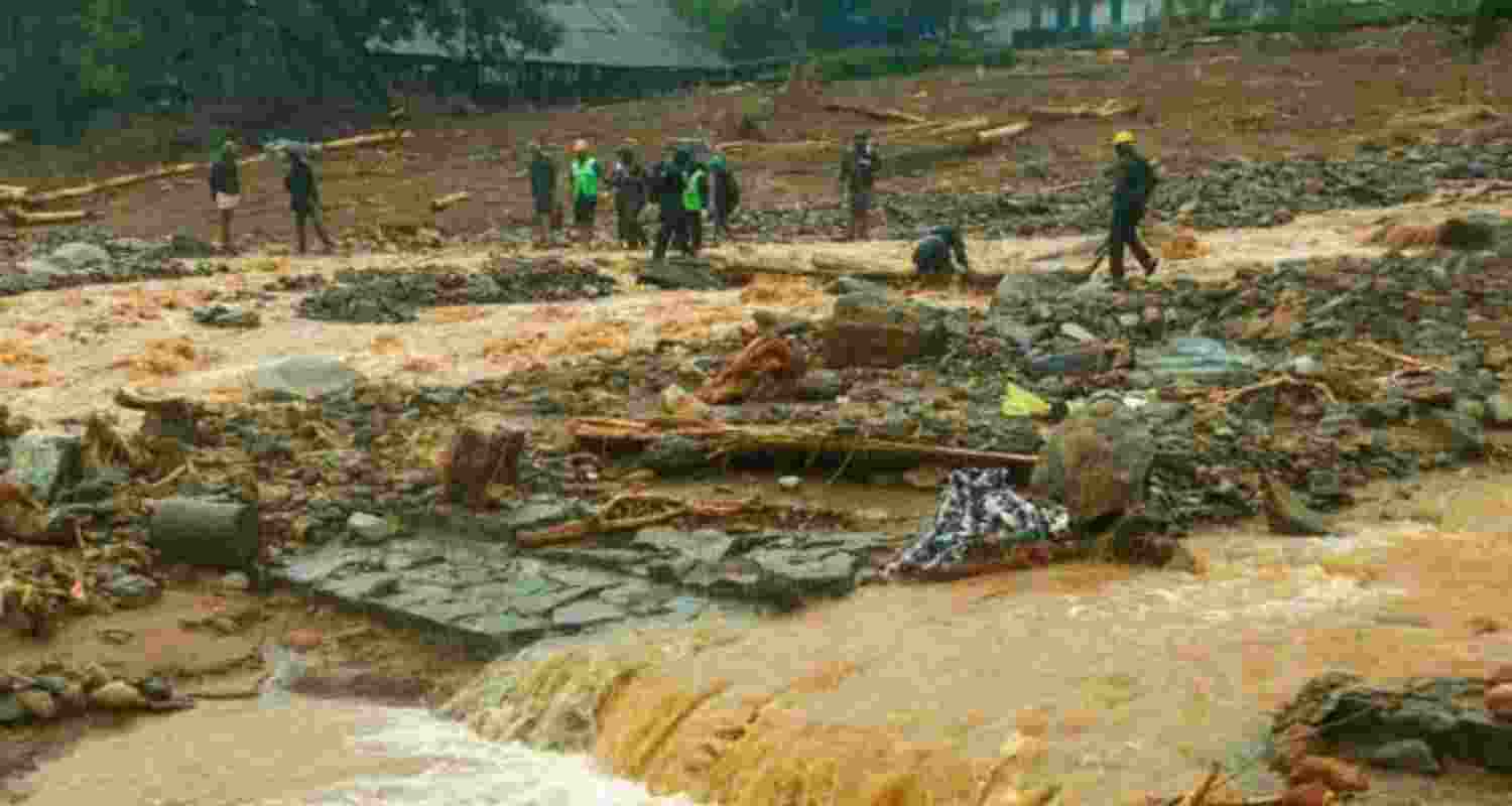 Kerala govt to acquire Elstone Estate for Wayanad victims