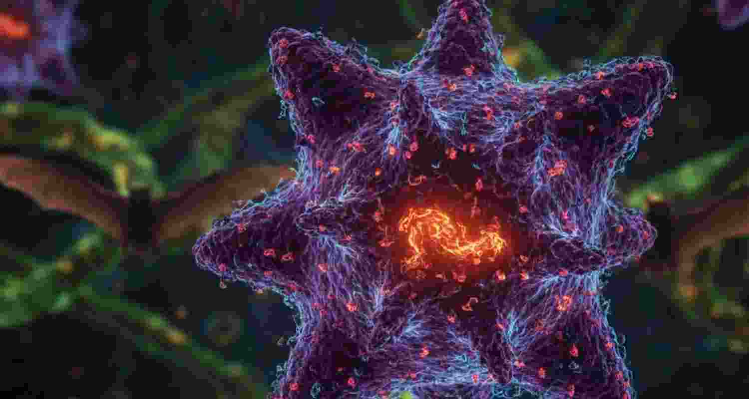 Representative Image. 