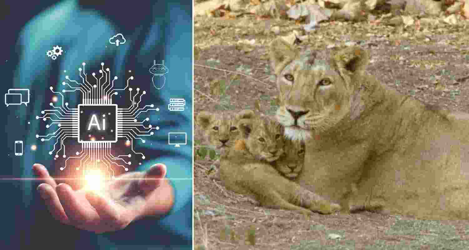 Railway proposes use of AI to protect lions in Gujarat