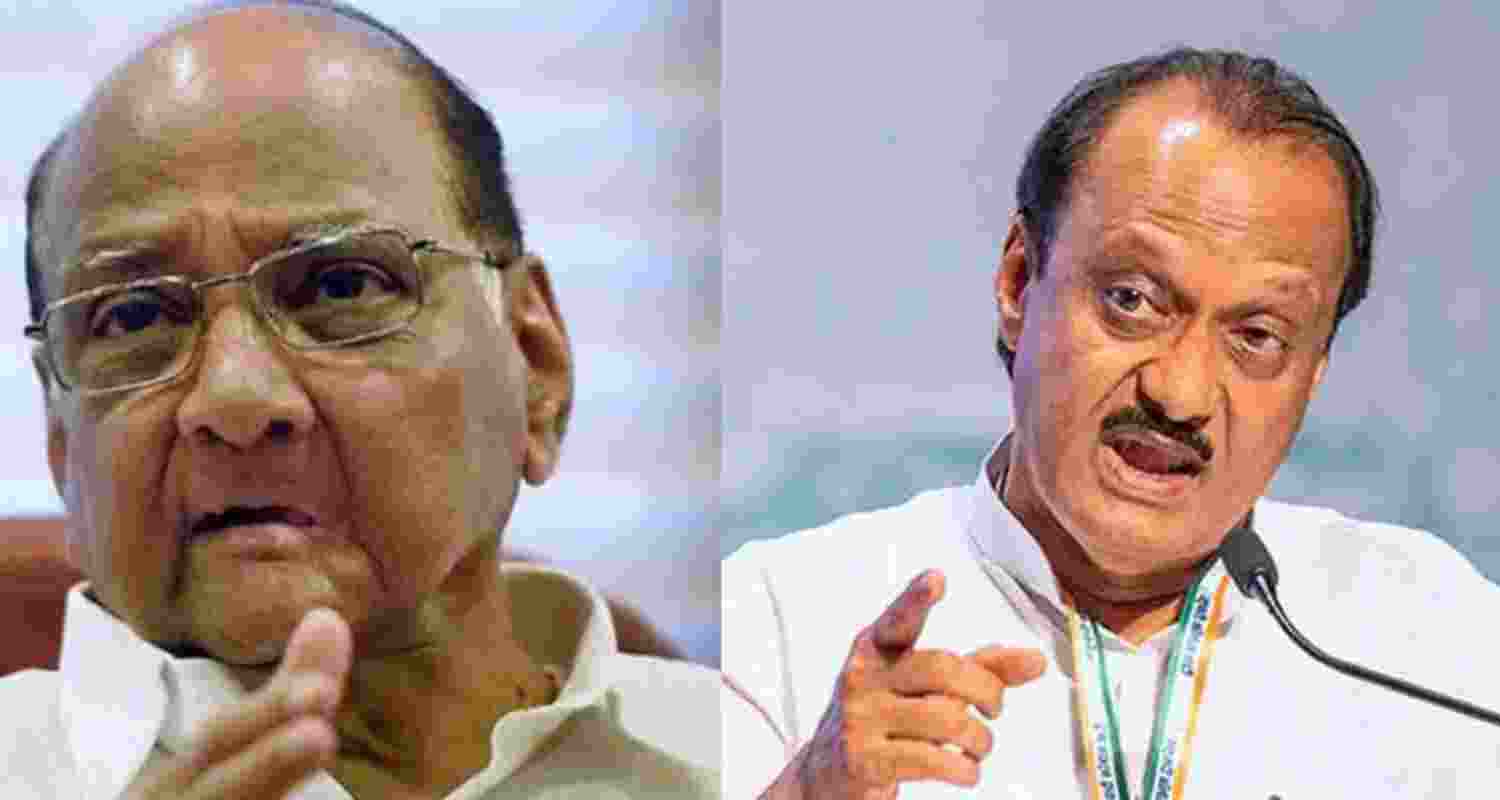 Ajit Pawar's outfit beats NCP rival faction in 29 seats
