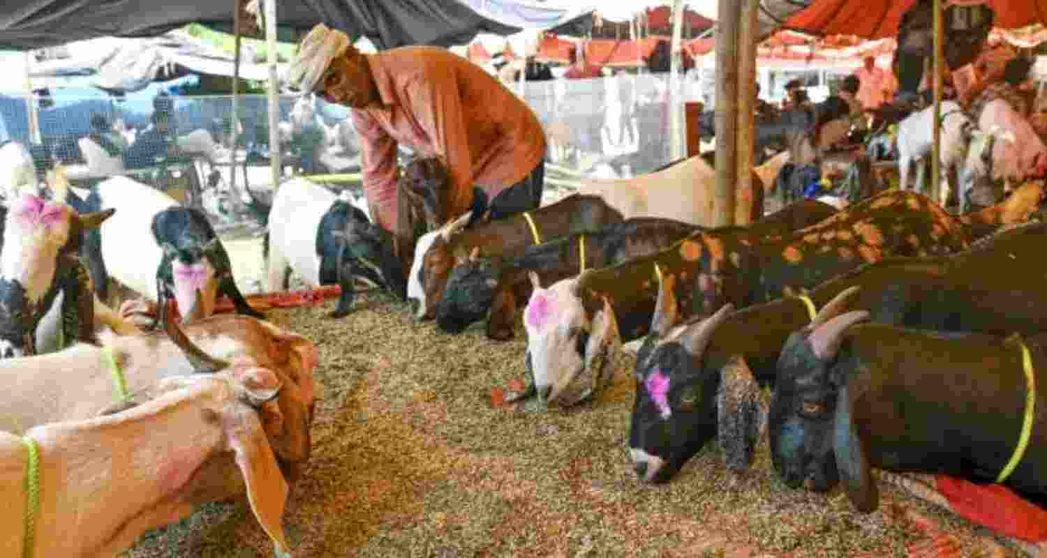 West Bengal will take strict action against illegal animal sacrifice, mandating certification and limiting slaughter to authorised facilities.