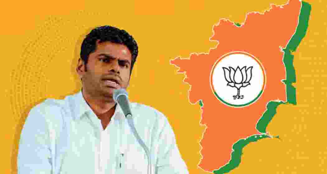 President of BJP Tamil Nadu, K Annamalai.