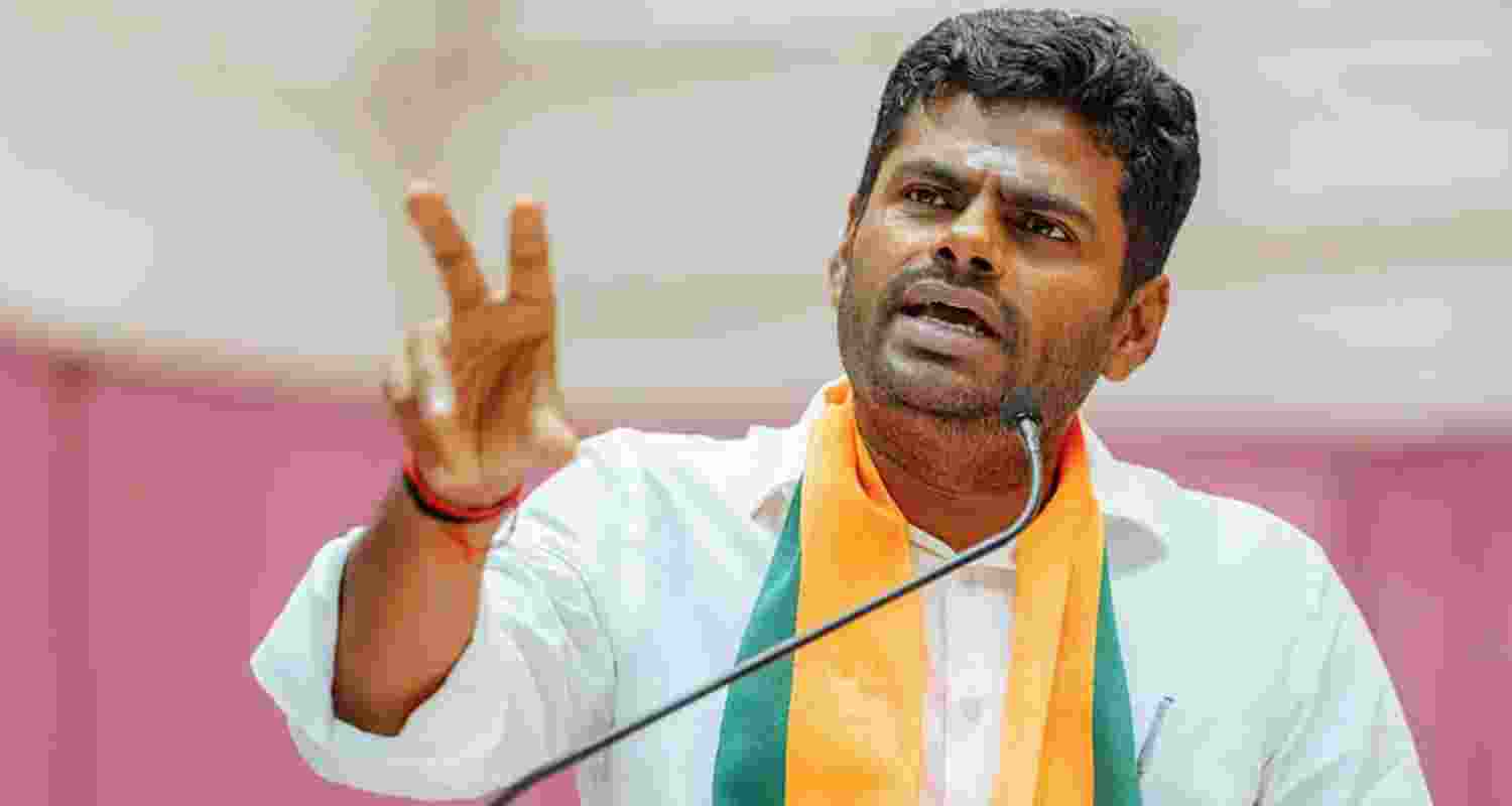 Former Tamil Nadu BJP president Annamalai - file image.