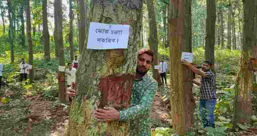 Protesters in Assam’s Dabaka district embrace Sal trees, opposing the government’s plan to fell around 6,000 trees back in 2021.