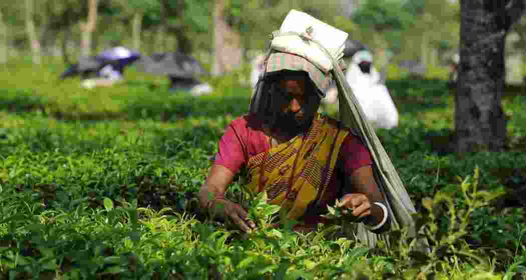 Representational image.