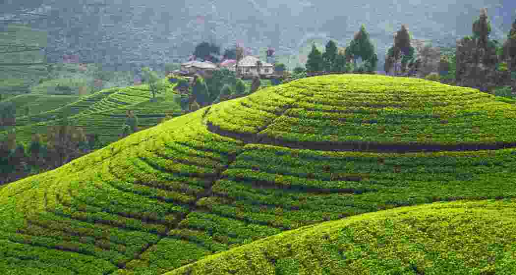 Image for representative use only.