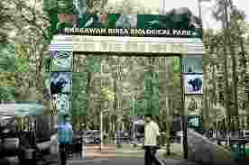 Jharkhand govt moves HC to lift fund freeze to save zoo animals Jharkhand govt moves HC to lift fund freeze to save zoo animals