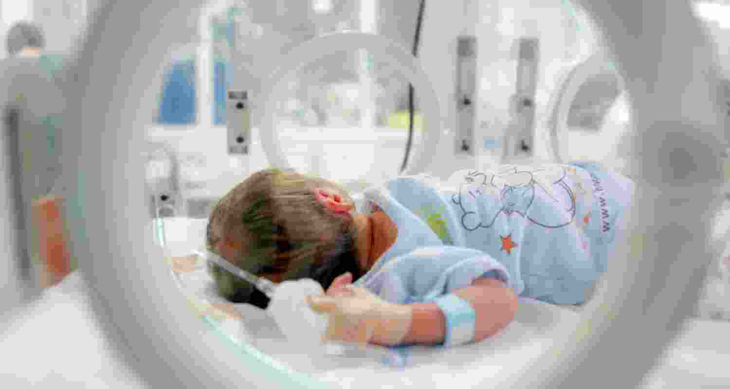 Study reveals how air pollution increases premature birth risk