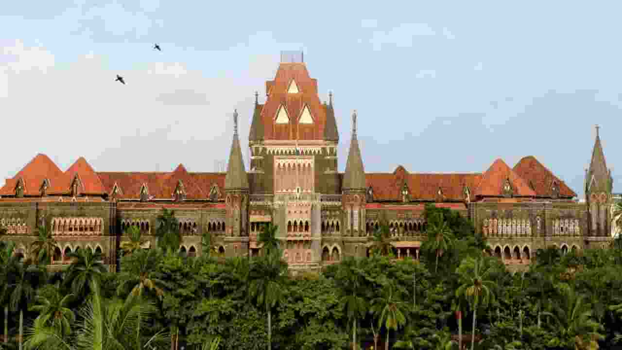 Bombay HC bars Ganpati idol immersion in natural water bodies