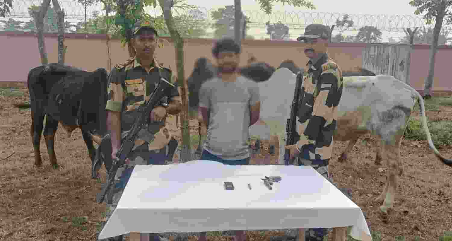 BSF jawan attacked while stopping cow smuggling in WB