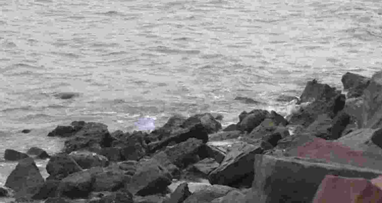 Tamil Nadu marks World Oceans Day with beach clean-up drive