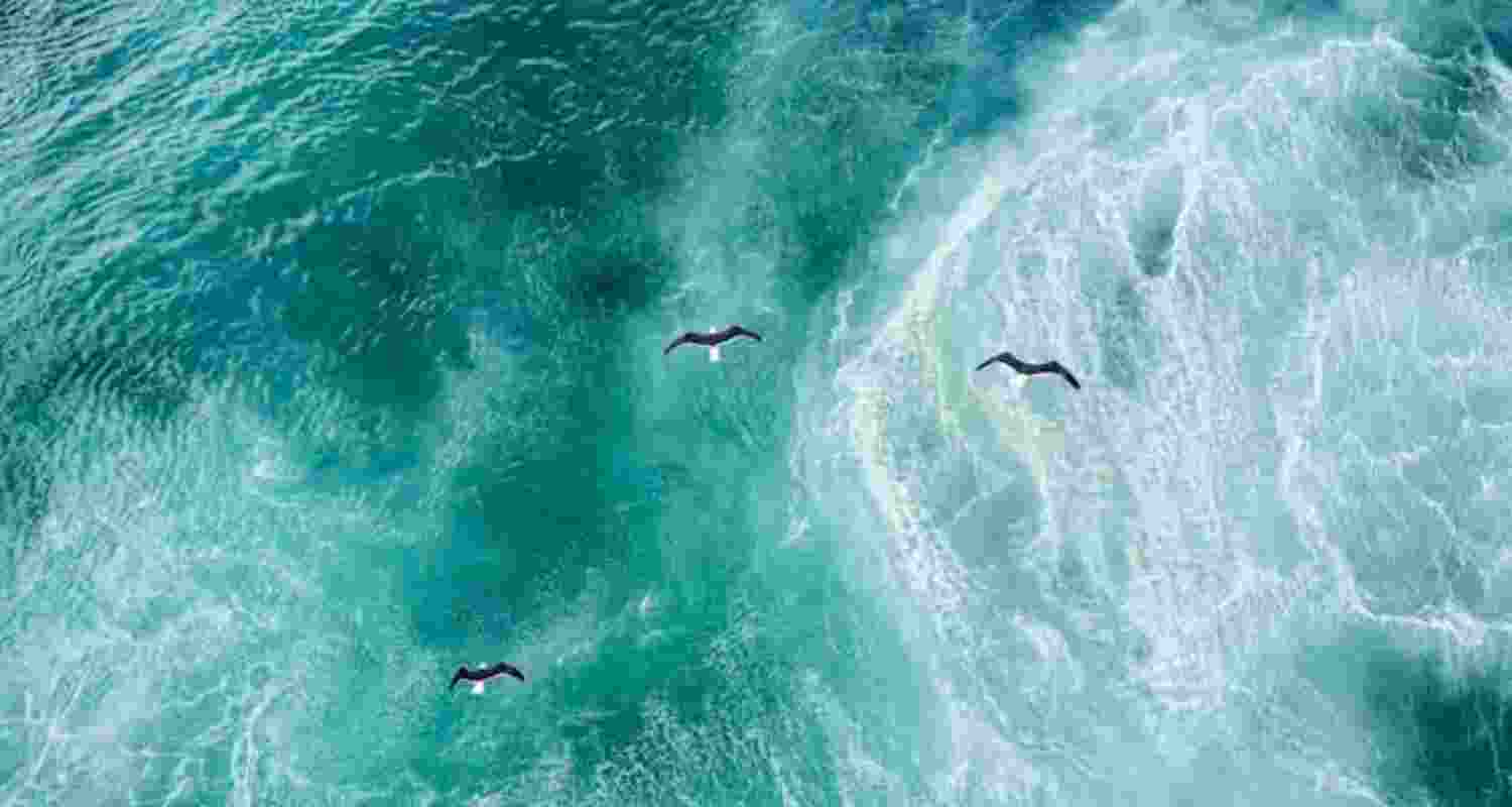 How heated North Atlantic Ocean spawned Europe’s hellish summer