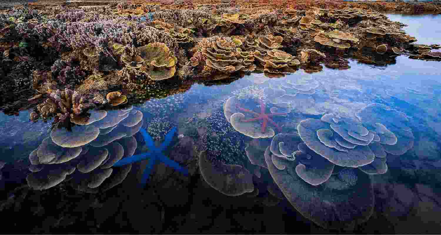 Representational image.