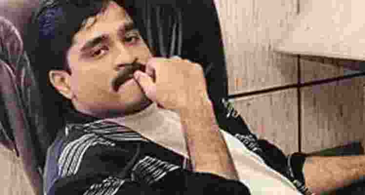 Two properties belonging to the family members of fugitive gangster Dawood Ibrahim were sold off under the Smugglers and Foreign Exchange Manipulators (Forfeiture of Property) Act located at Mumbke village in Khed tehsil of coastal Ratnagiri district in Maharashtra