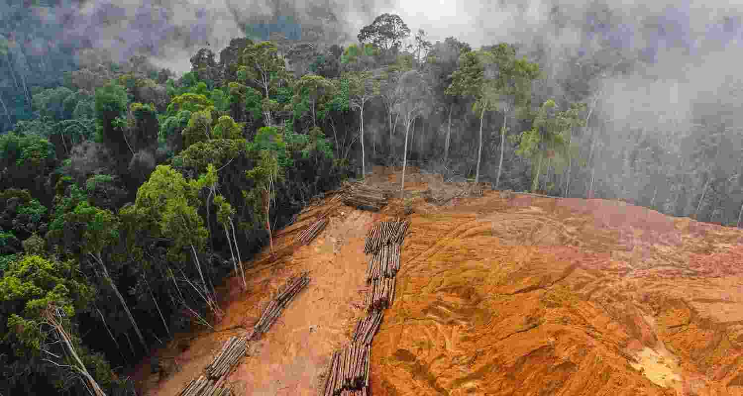 80% Indians back criminalising environmental damage