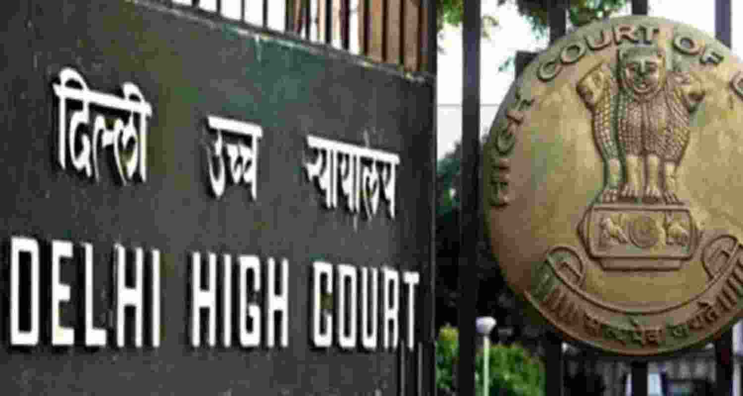 Delhi Court seeks doctors' opinion on assault injuries of 7-year-old