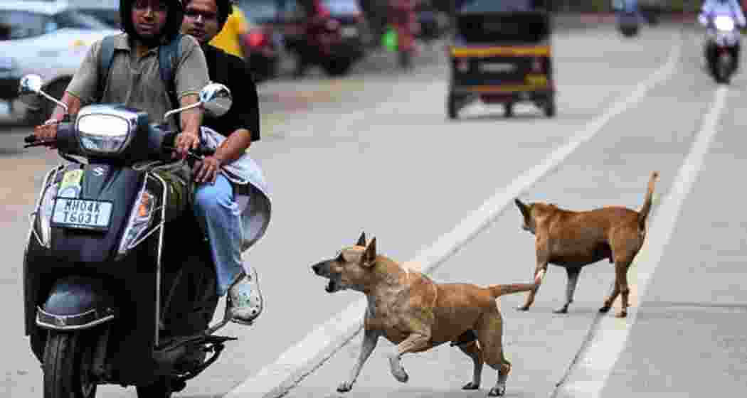 Representational image.