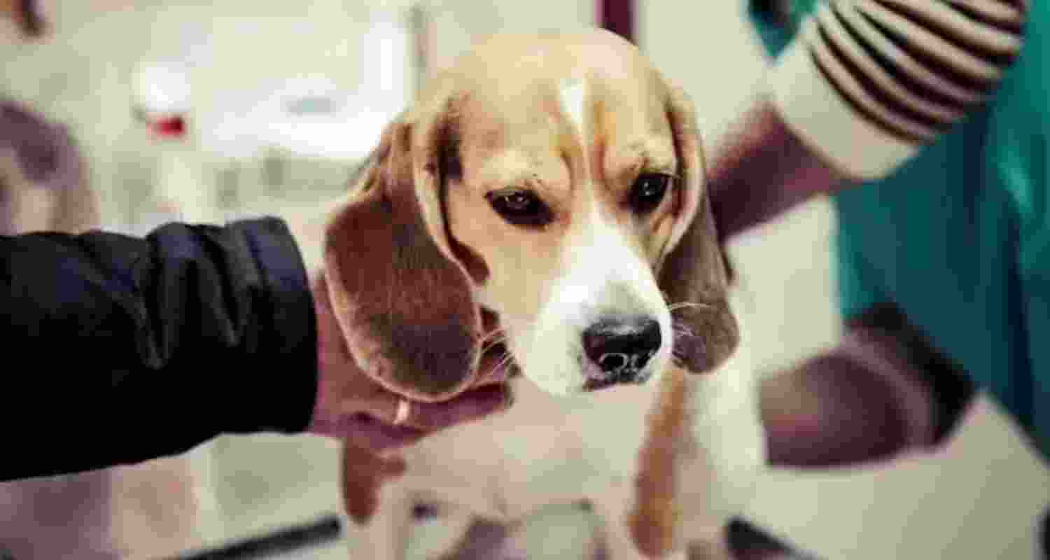 Representational image.