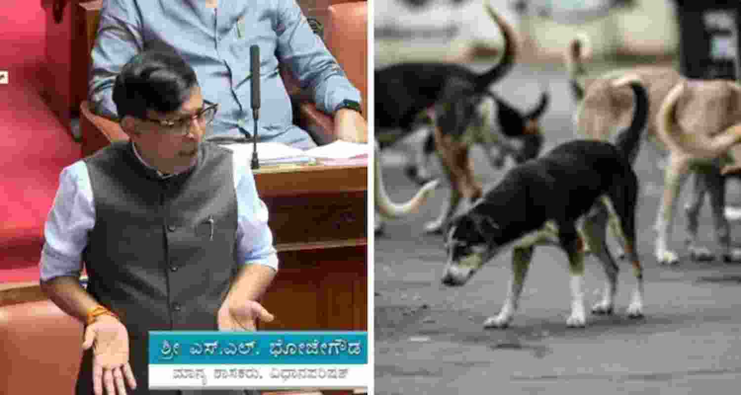 "We had mixed something with meat and fed about 2800 dogs," said SL Bhojegowda.