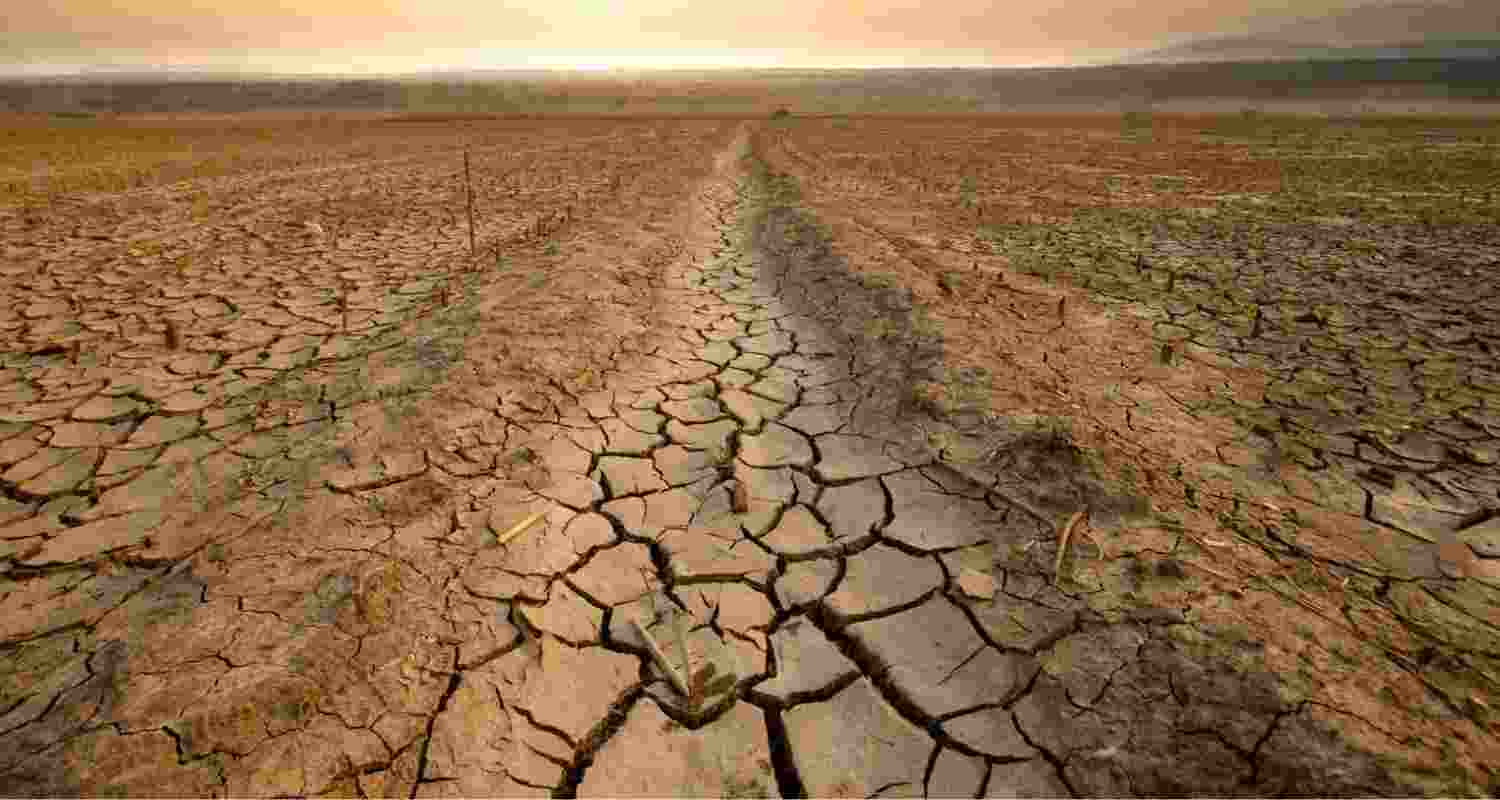 How severe droughts worsen antibiotic resistance