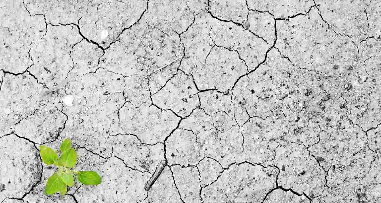 In last 40 yrs, droughts became 40 per cent more severe