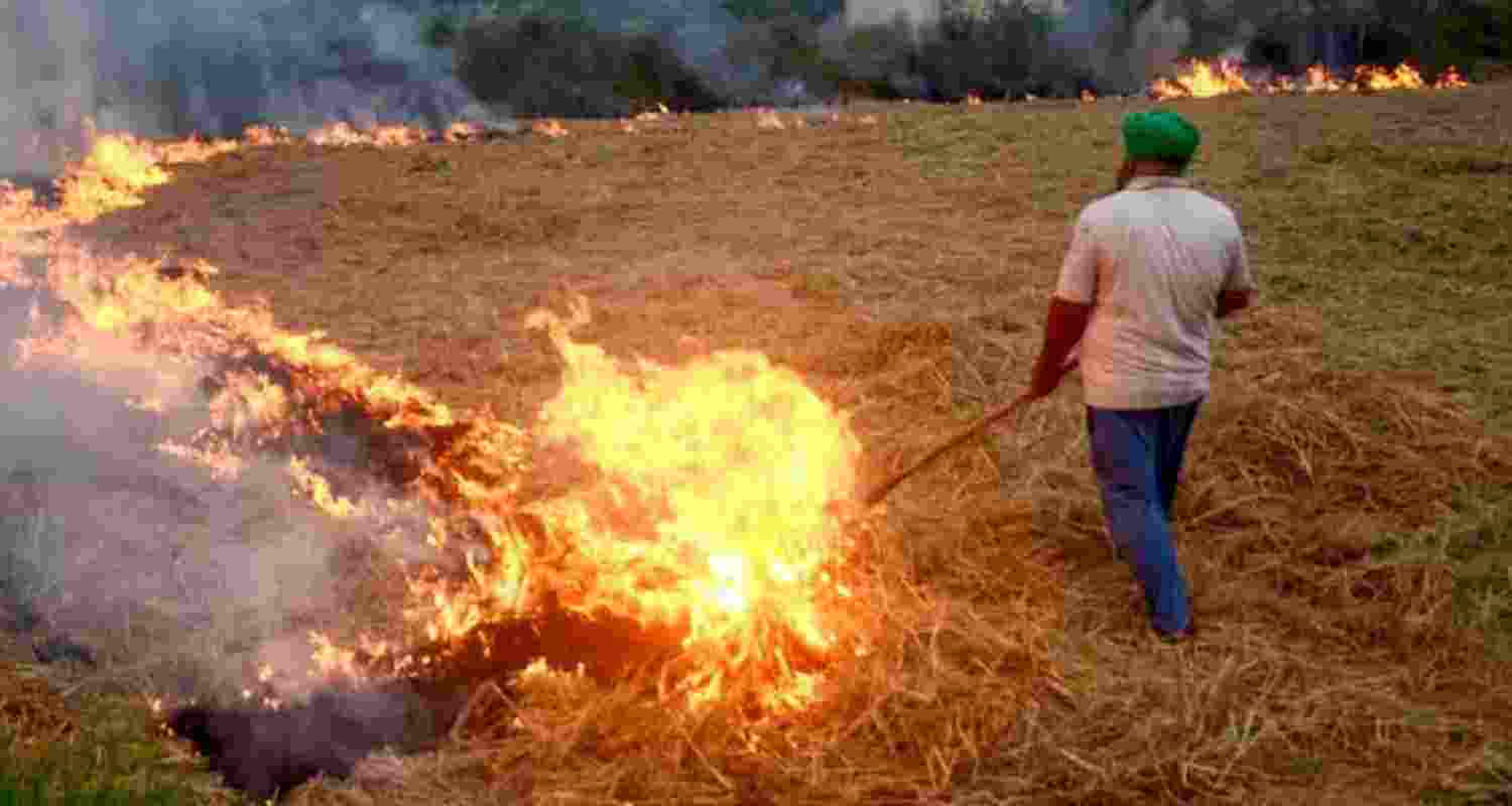 Representative Image. 