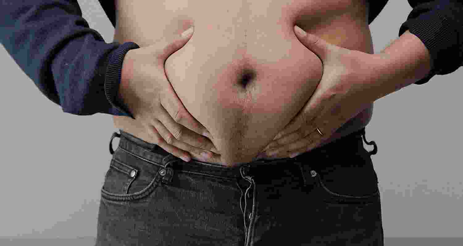 The impact of abdominal fat on brain health and cognition is more pronounced in middle-aged men at high risk of Alzheimer's disease as opposed to women