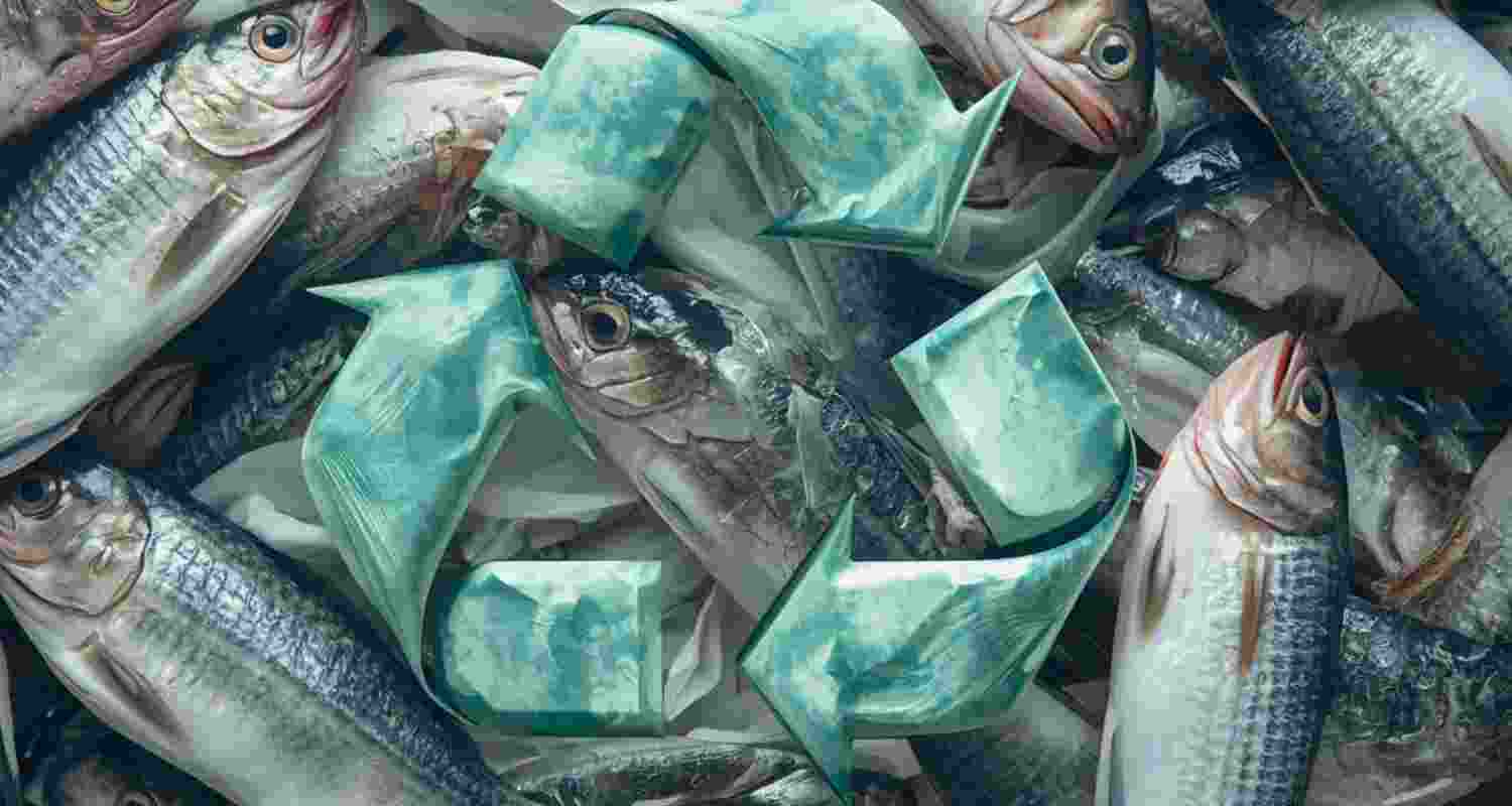 This college developed eco-friendly leather from fish skin waste