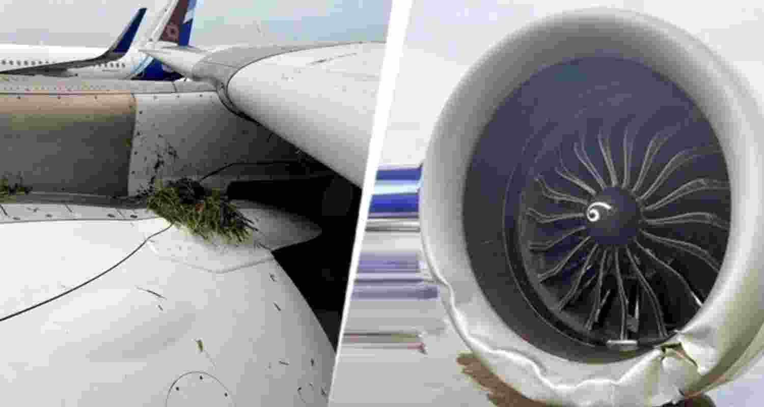 The airline confirmed that the aircraft has been grounded for detailed checks.