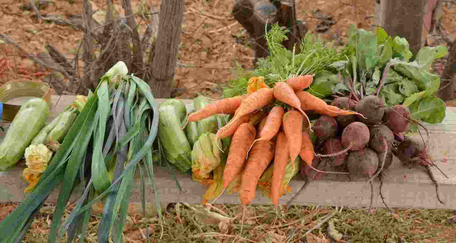 Representative image.