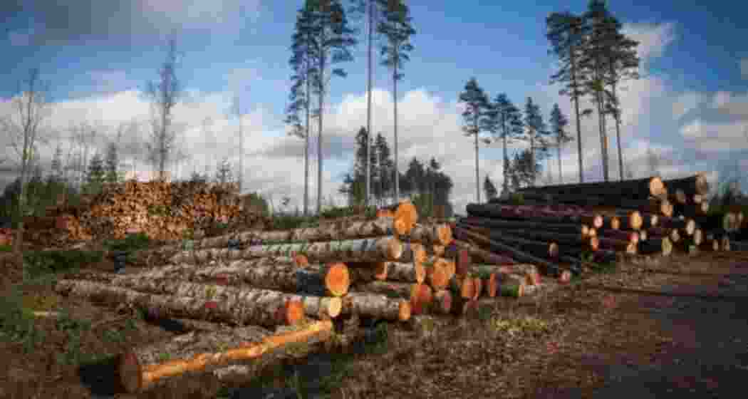 Representational image. 