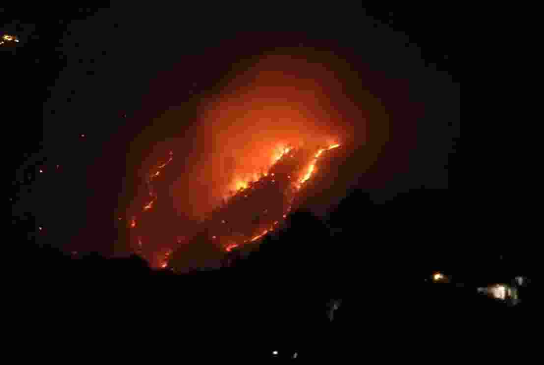 The state government informed the court that 398 fires, all man-made, had been reported from November till today with the death toll at five.