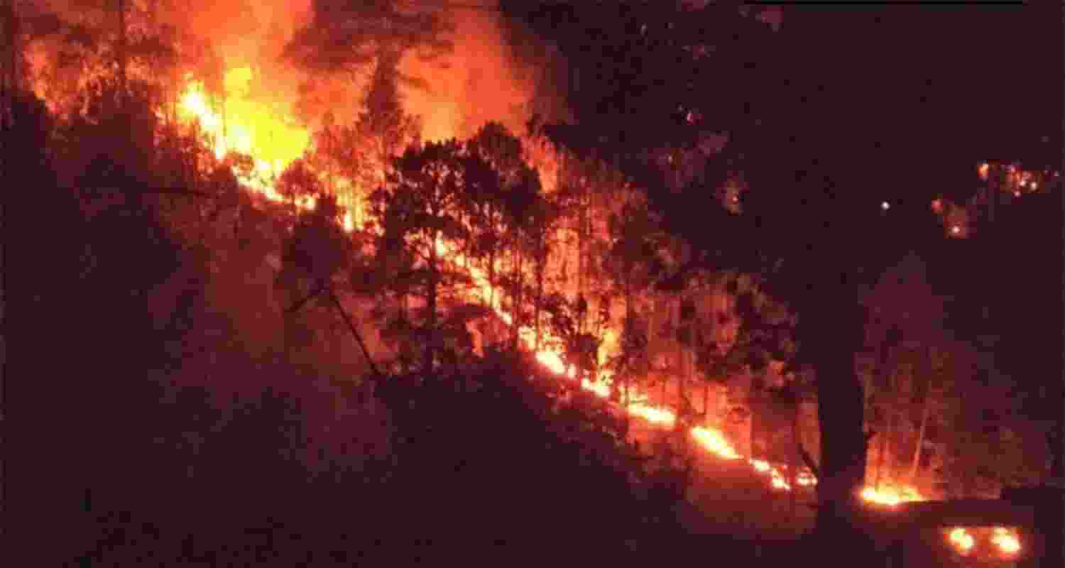 J-K reported 1,243 forest fires in 2024-25: Minister Rana