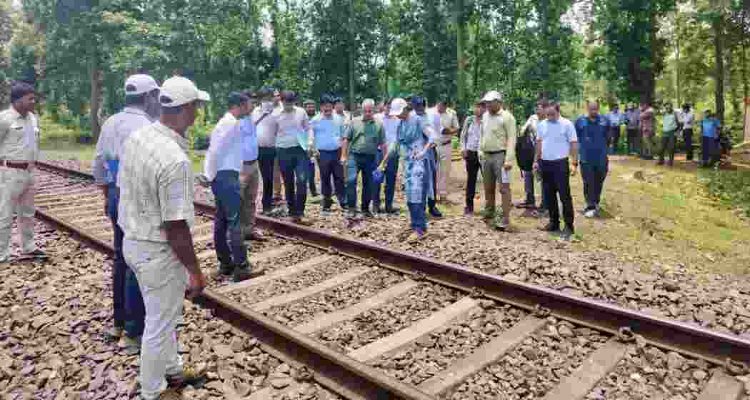 Forest officials inspect the site where a mother elephant and two calves were killed by a train in WB's Jhargram.